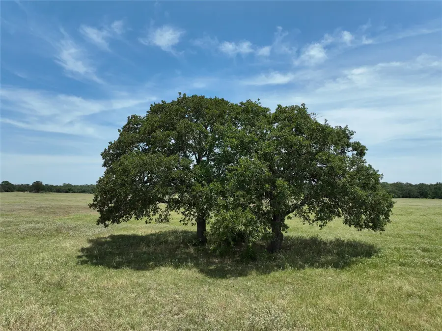 TBD Lot 3 County Road 127 Rd, Ledbetter, TX 78946 - #2