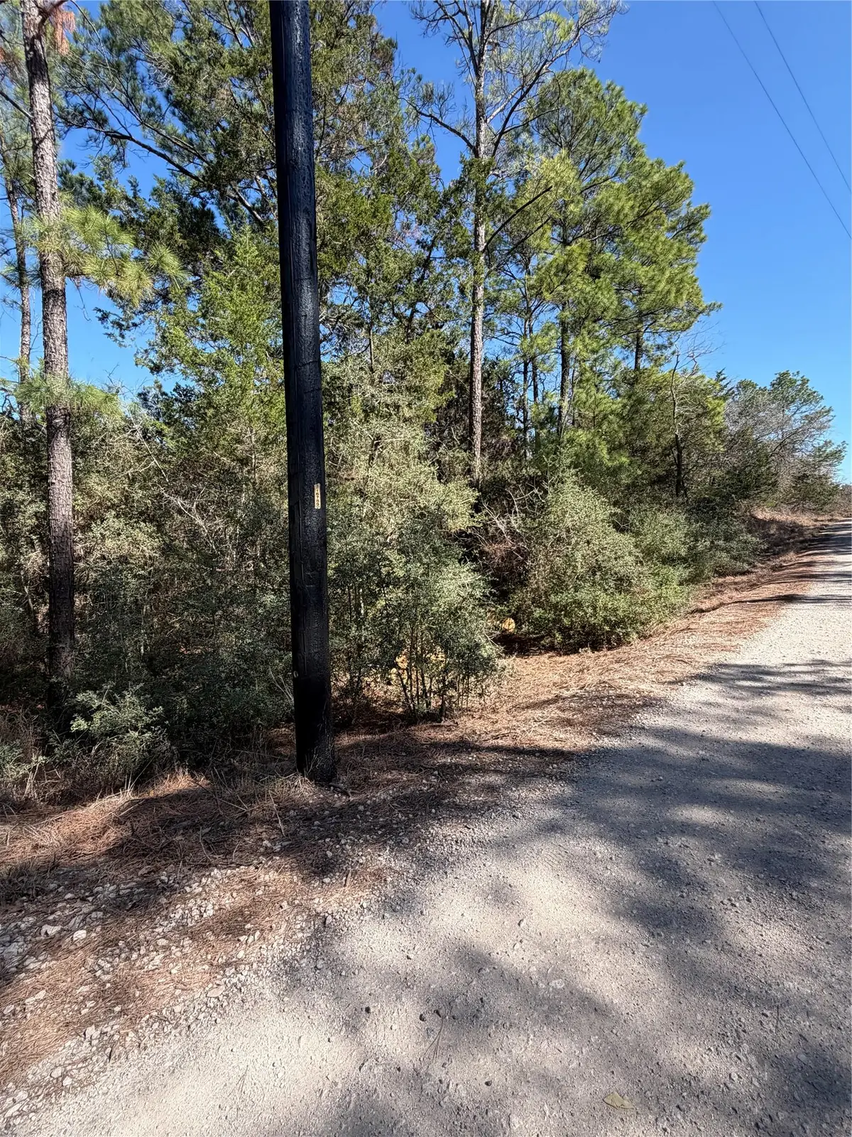 Lot 320 Keneka Ln, Bastrop, TX 78602 - #1