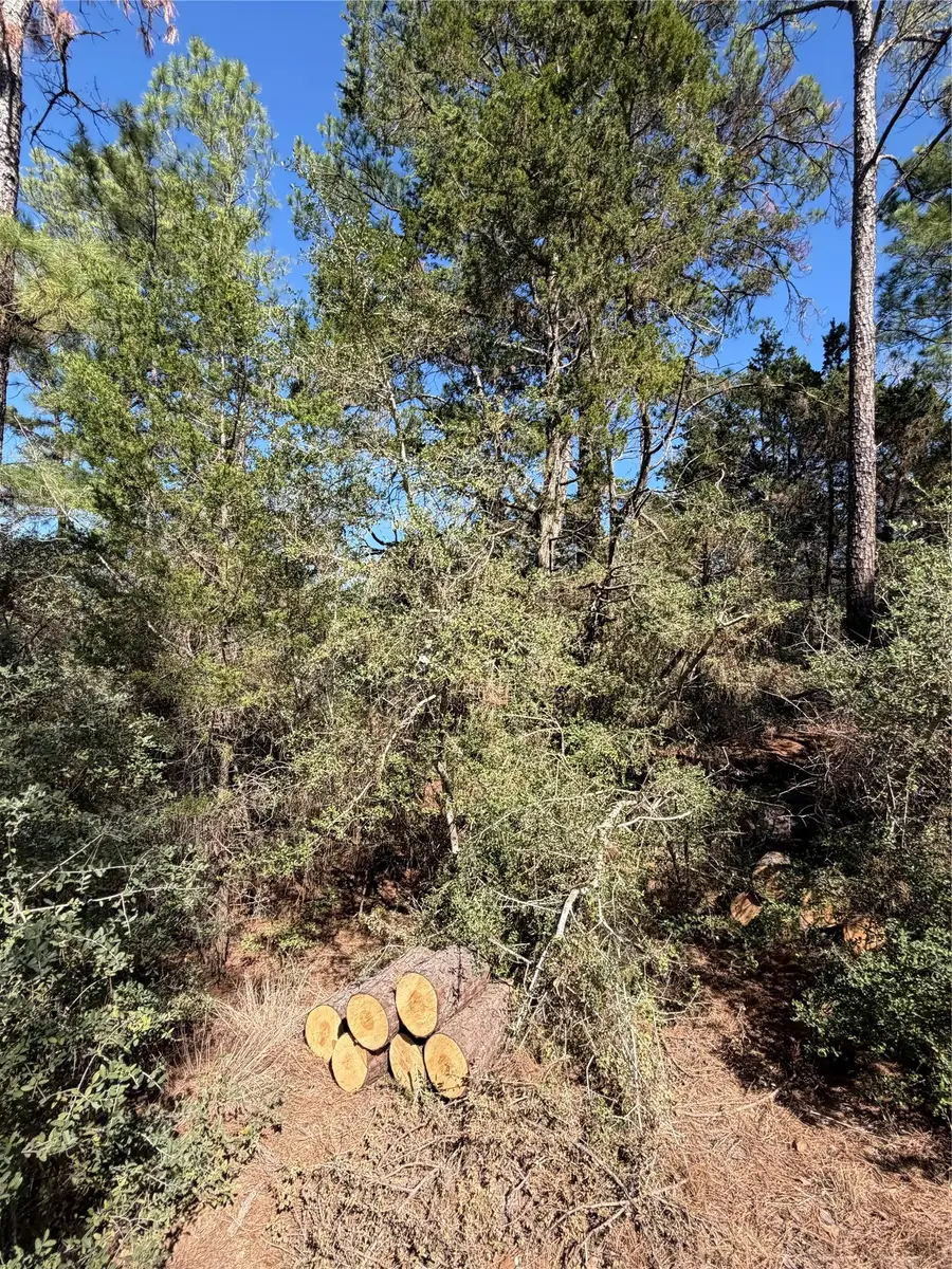 Lot 320 Keneka Ln, Bastrop, TX 78602 - #2