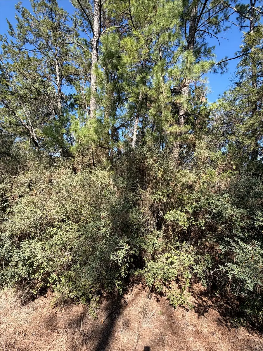 Lot 320 Keneka Ln, Bastrop, TX 78602 - #3
