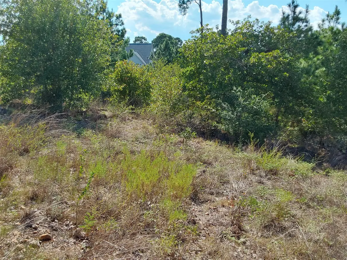 128 Mokalau Dr, Bastrop, TX 78602 - #1