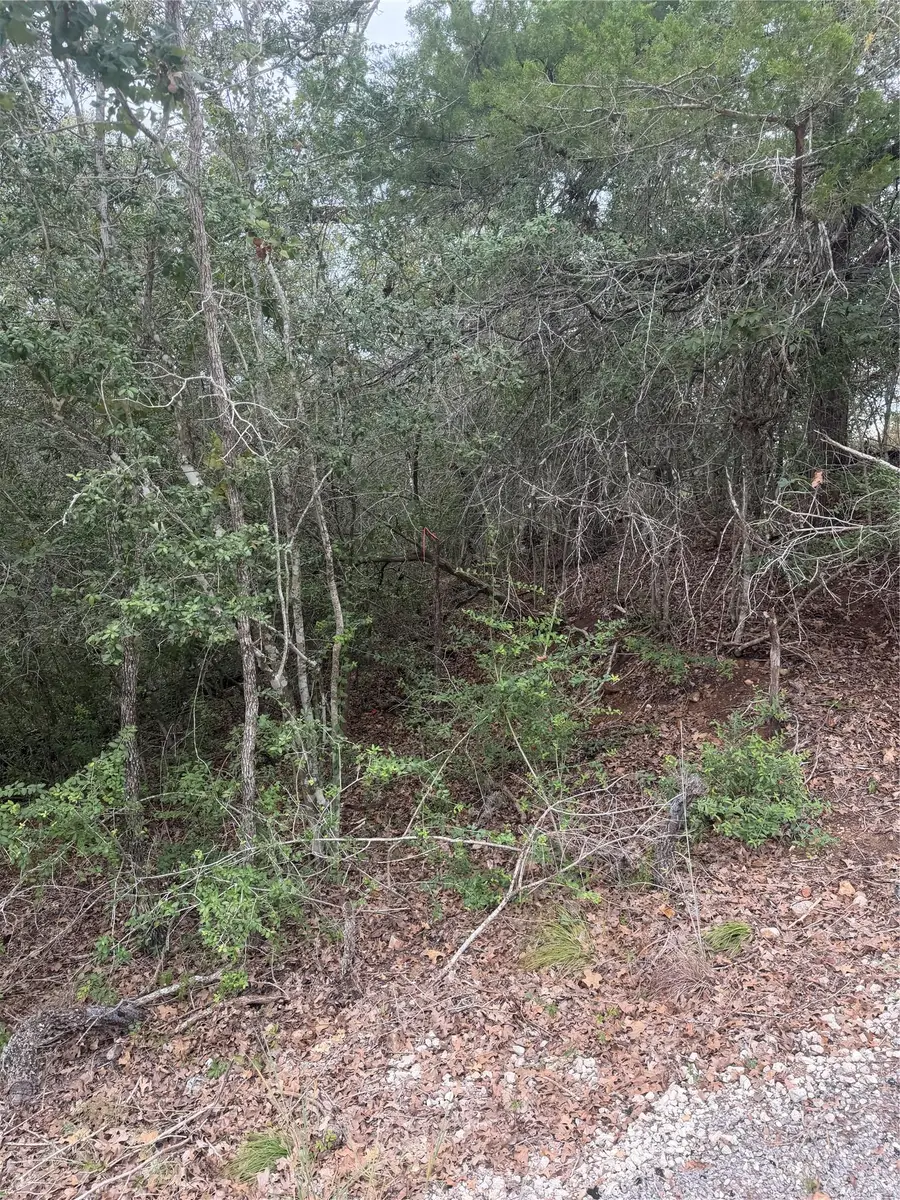 123 Mokuleia Cir, Bastrop, TX 78602 - #2