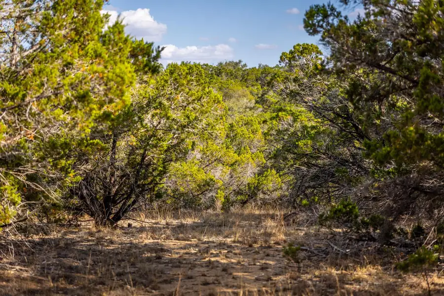 220 Estates Rd, Wimberley, TX 78676 - #3