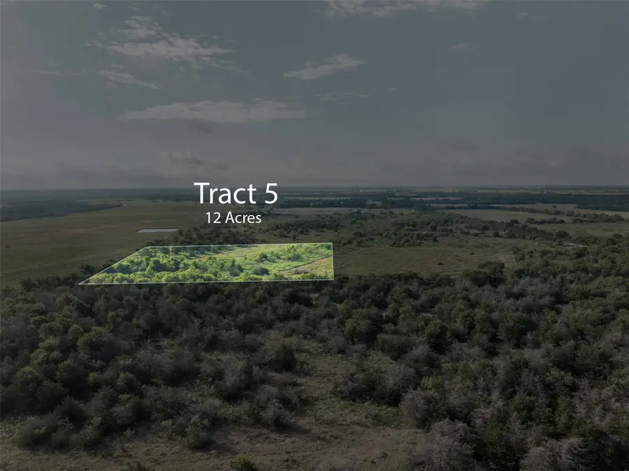 Tract 5 TBD Lcr 390, Groesbeck, TX 76642 - #3