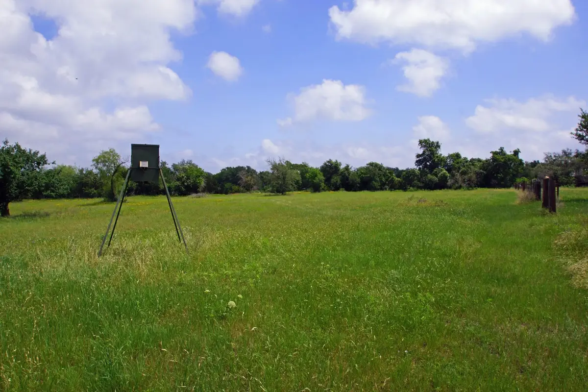 350 Apache Springs Rd, Briggs, TX 78608 - #1