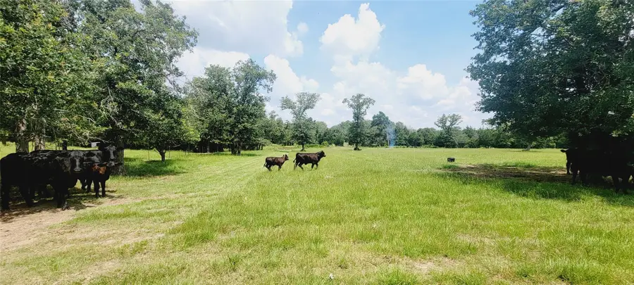 3321 County Road 457, Thorndale, TX 76577 - #2