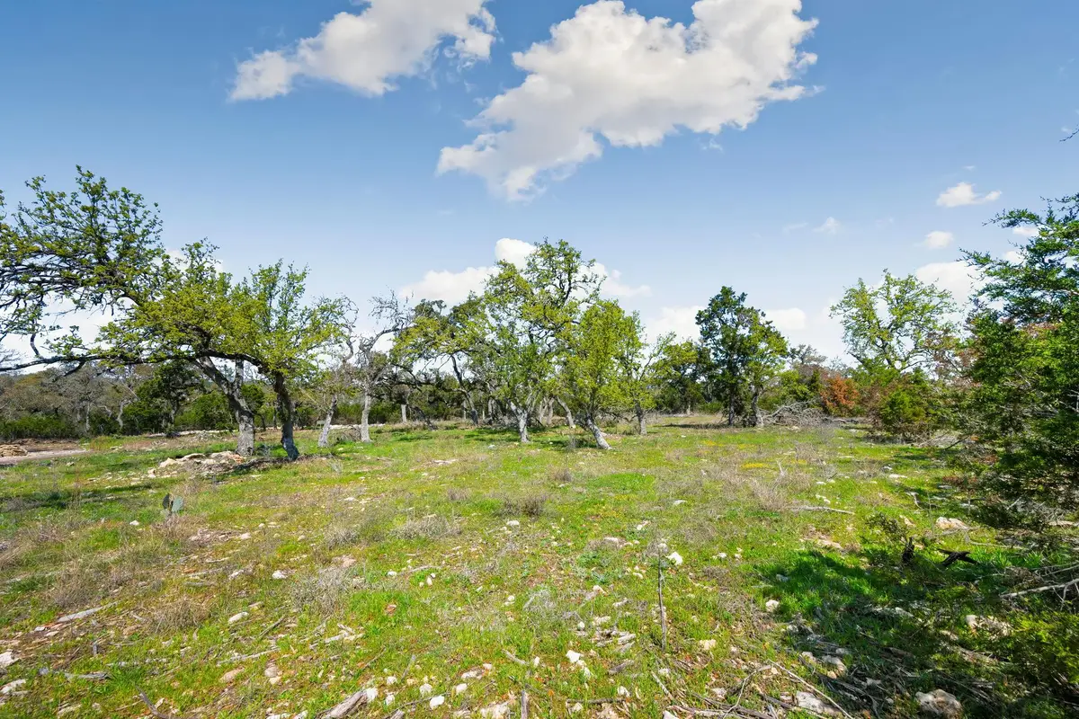 1275 Smoky Loop, New Braunfels, TX 78132 - #1