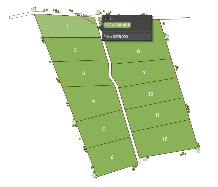 1115 Tract 1 County Road 204 Rd, Burnet, TX 78611 - #3