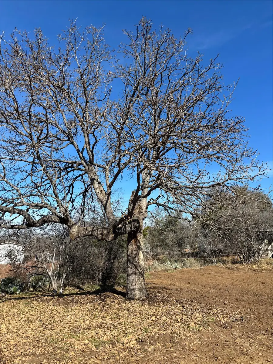 0 Castleshoals Dr, Granite Shoals, TX 78654 - #2