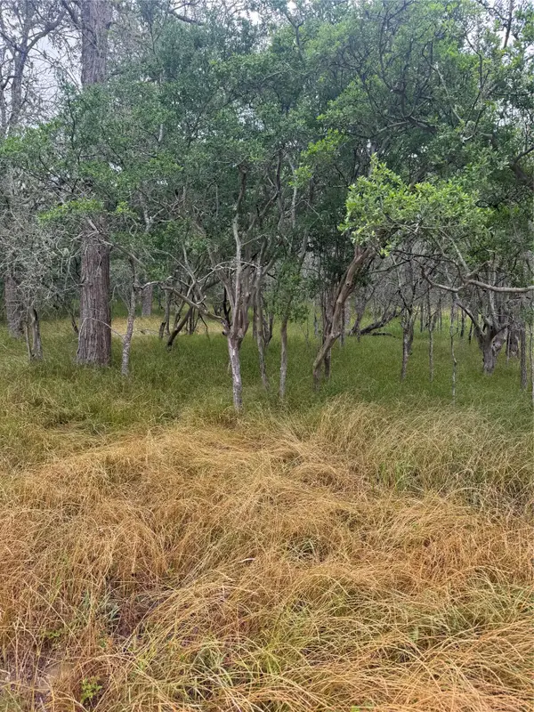 109 Hauula Ct, Bastrop, TX 78602