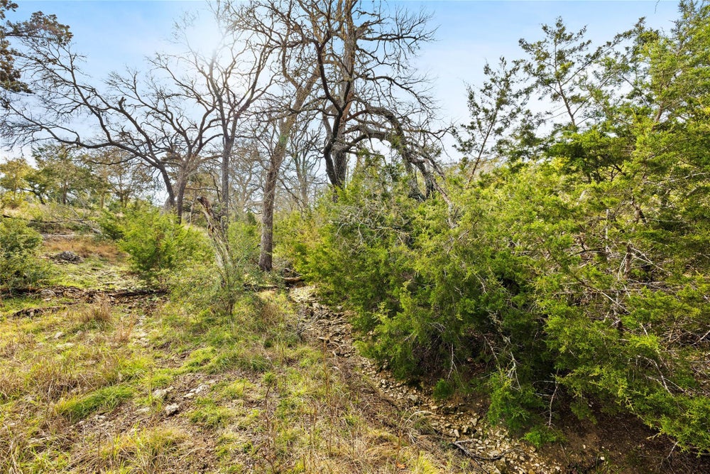 262 Beauchamp Road, Dripping Springs, TX 78620 ERA