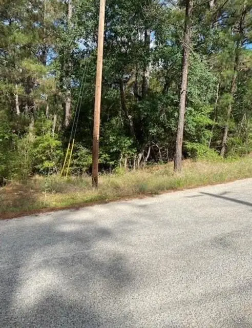 Lot 93 Papawai Dr, Bastrop, TX 78602 - #1