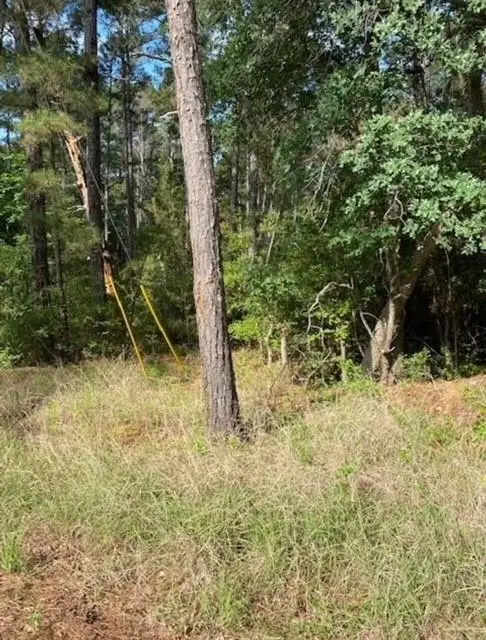 Lot 93 Papawai Dr, Bastrop, TX 78602 - #2