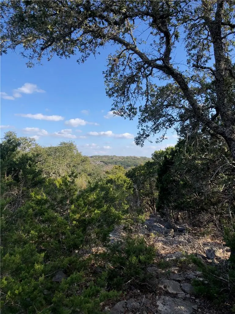 441 Cliffview Cir, Canyon Lake, TX 78133 - #1
