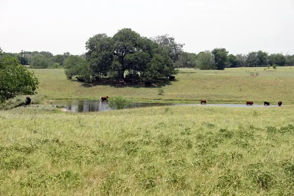 319 R C Ln, Lockhart, TX 78644