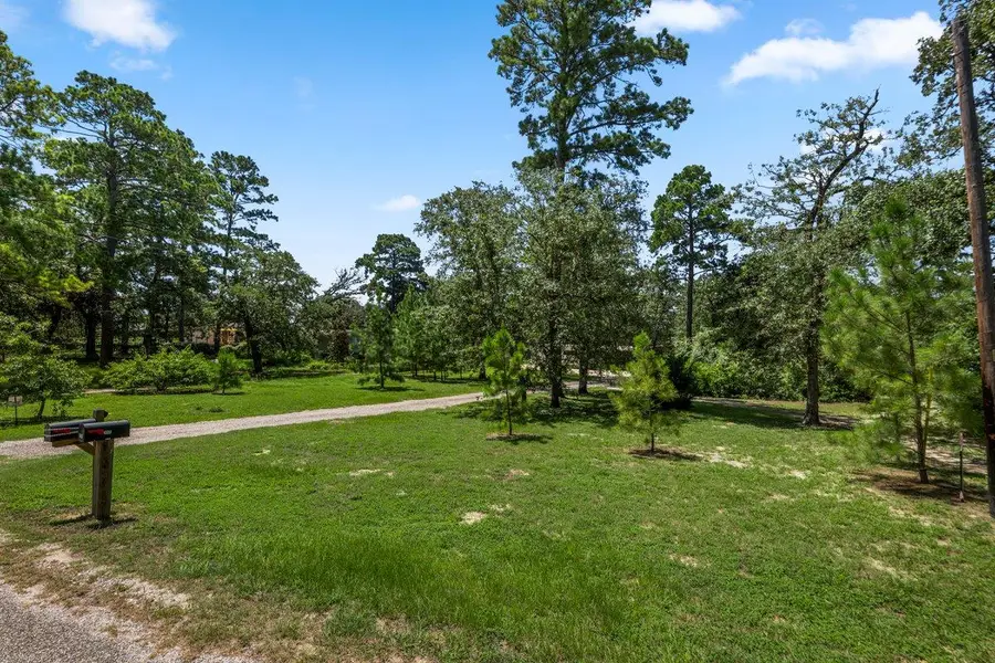 217 Pine Hill Loop, Bastrop, TX 78602 - #2