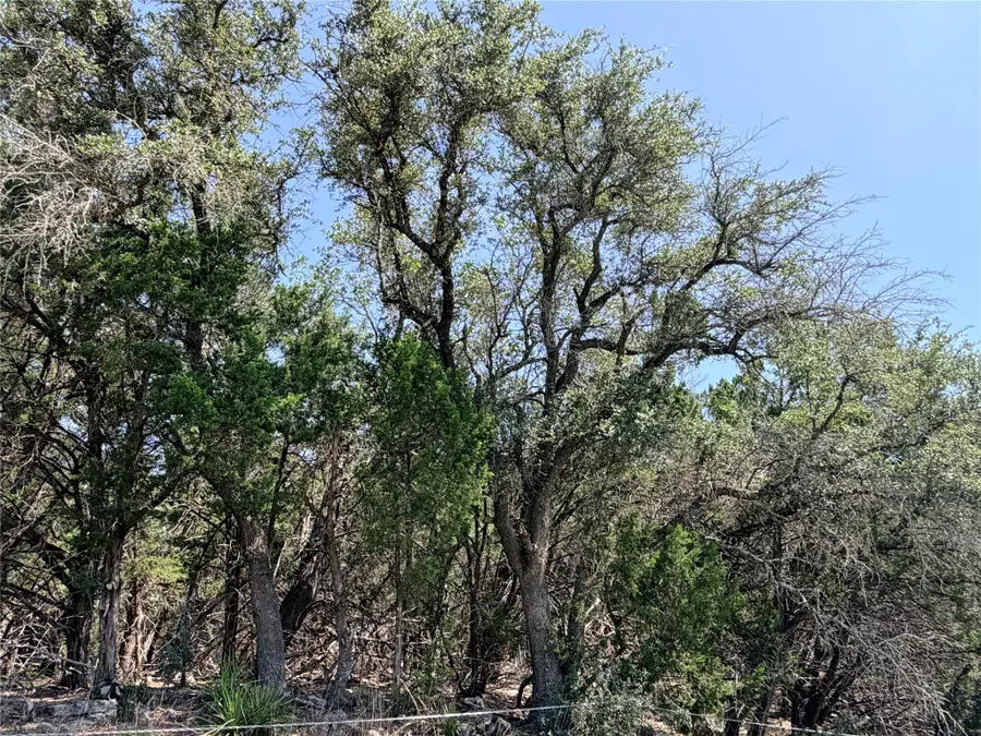 250 Oak Knob, Wimberley, TX 78676 - #2