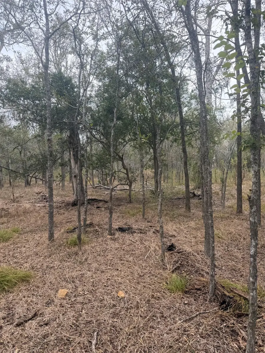 298 Riverside Dr, Bastrop, TX 78602 - #2