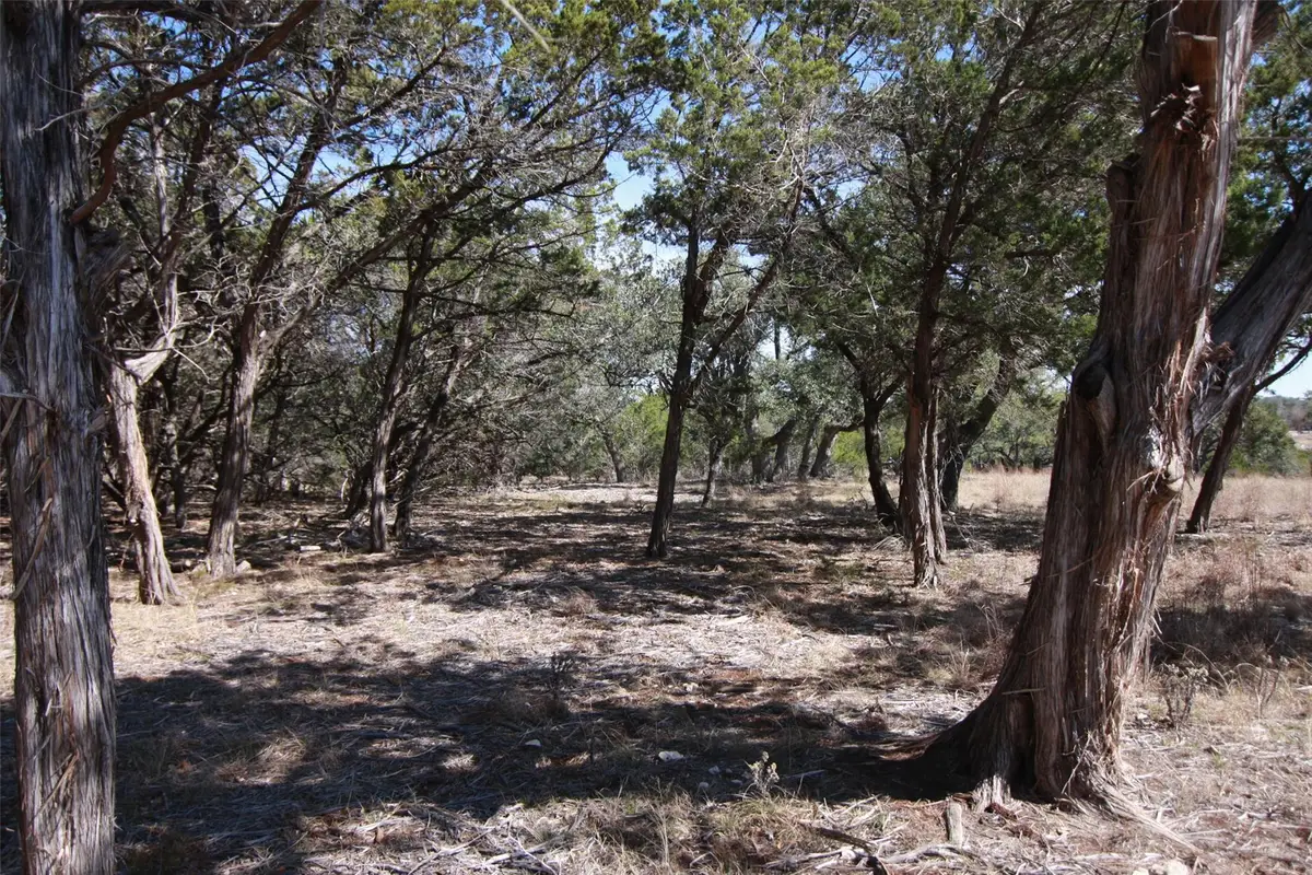 150 Patricks Way, Dripping Springs, TX 78620 - #1