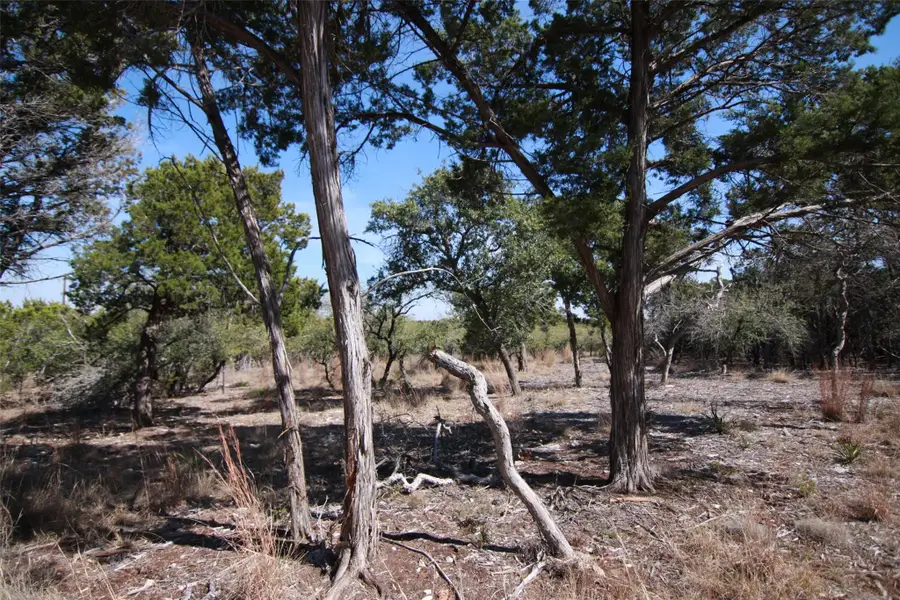 150 Patricks Way, Dripping Springs, TX 78620 - #2