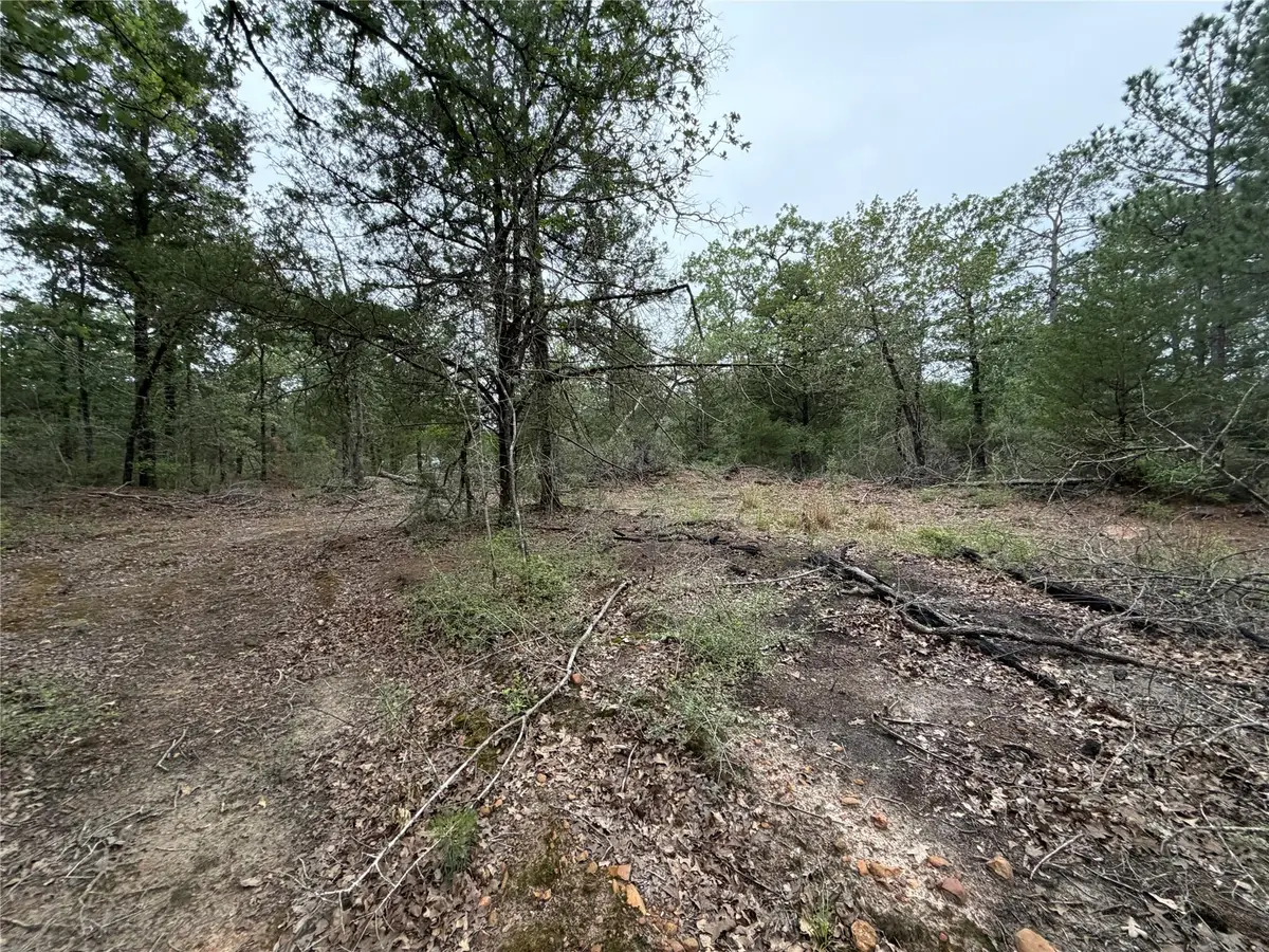 Lot 17 Old Antioch Rd, Smithville, TX 78957 - #1