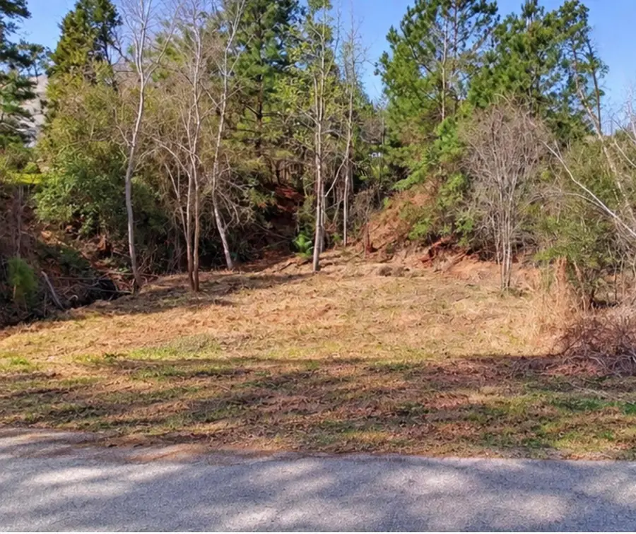 0 N Kanaio Dr, Bastrop, TX 78602 - #2