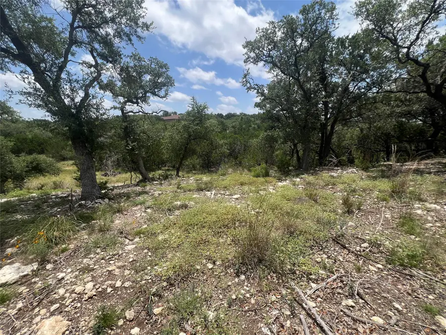 1252 Parton Rd, Canyon Lake, TX 78133 - #3