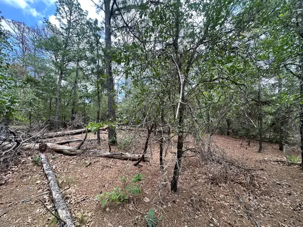 217 Helemano Dr, Bastrop, TX 78602