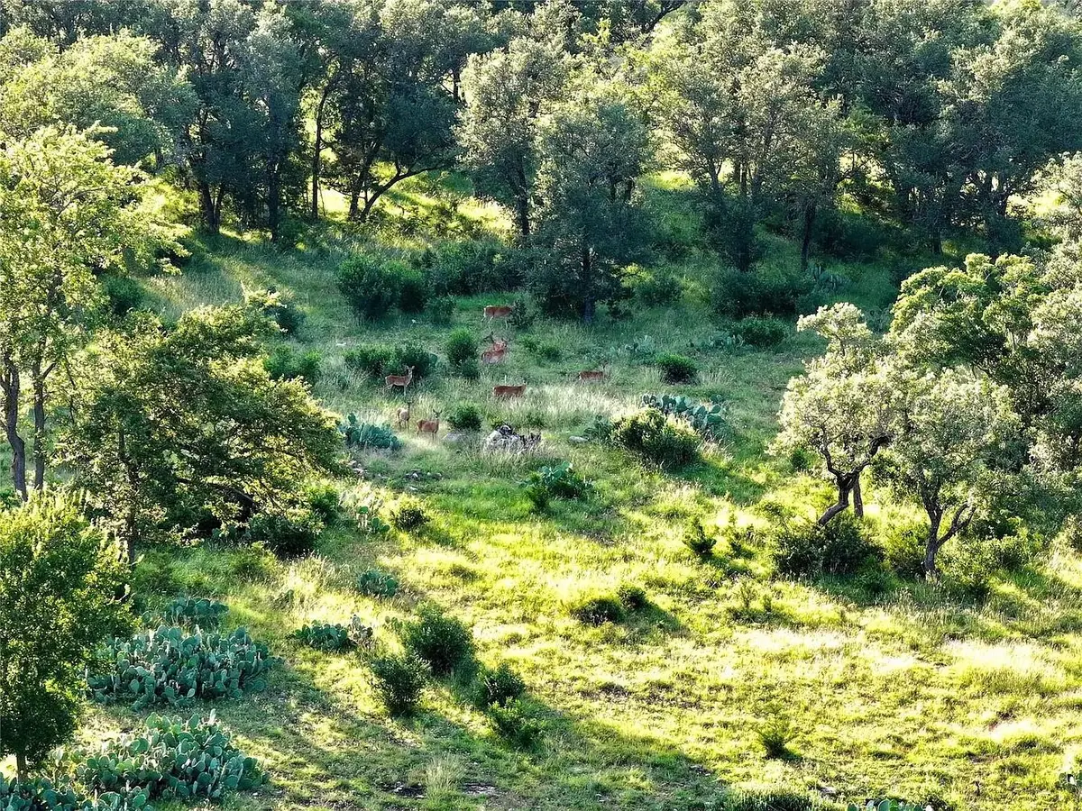 4 TBD Cr 220, Briggs, TX 78608 - #1