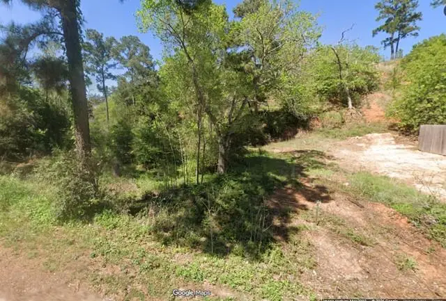 000 Wahane Ln, Bastrop, TX 78602 - #2