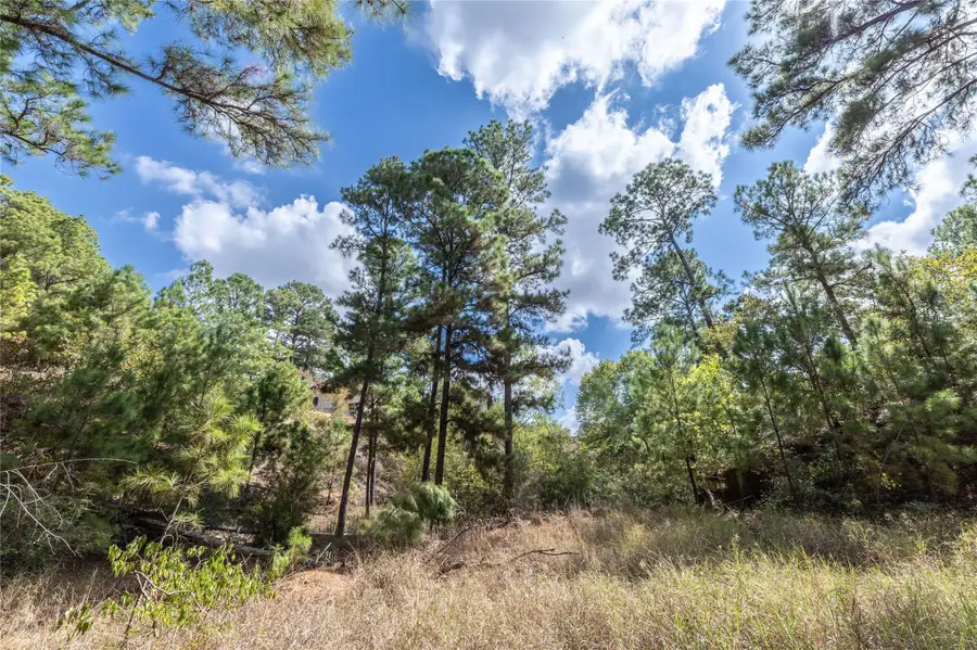LOT 1447 Koae Ct, Bastrop, TX 78602 - Image #3