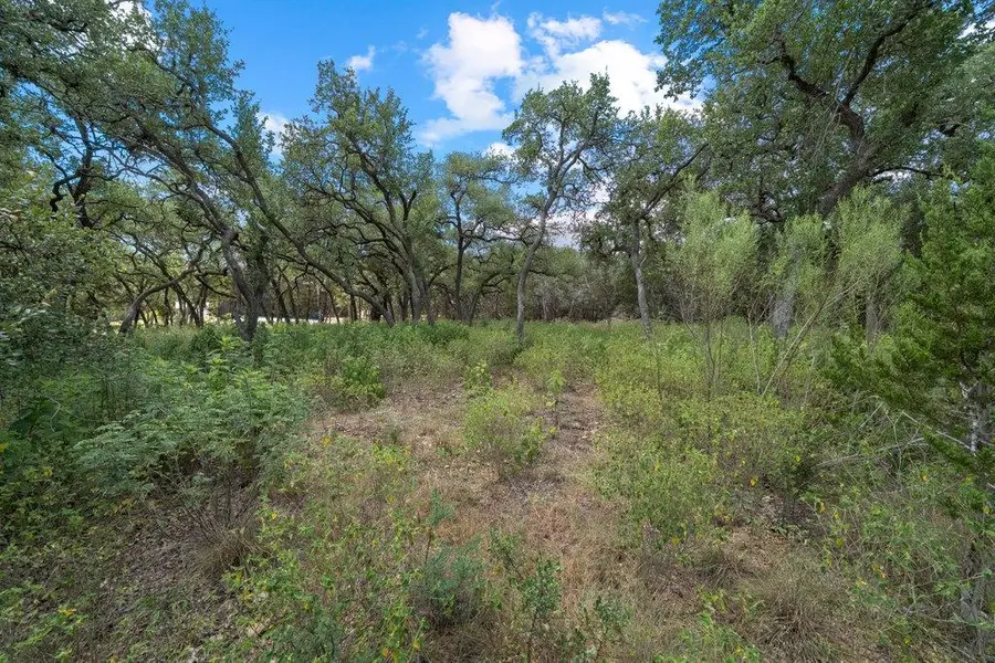 1345 Merlot, New Braunfels, TX 78132 - #2
