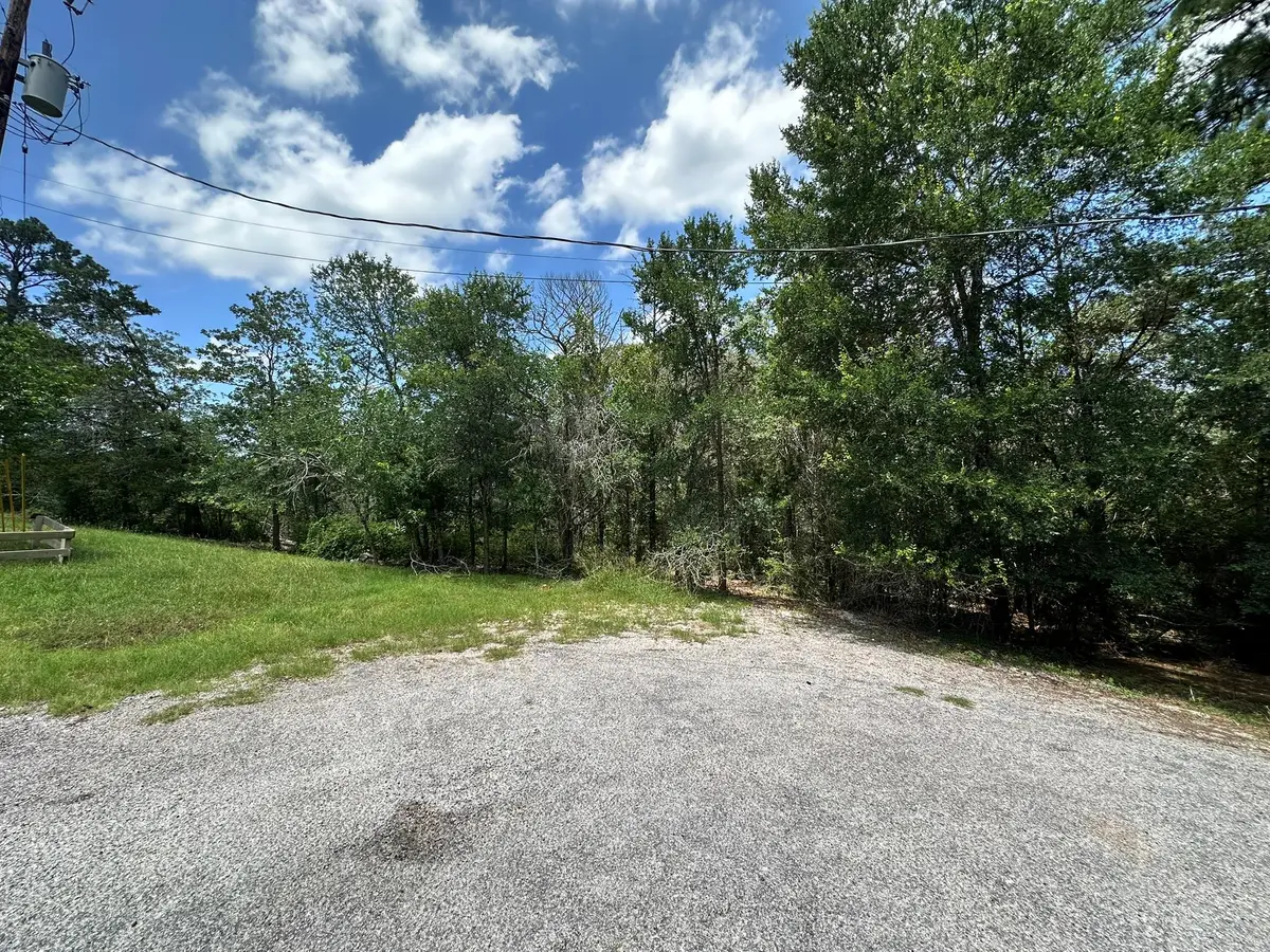 00 Oah Ct, Bastrop, TX 78602 - #1