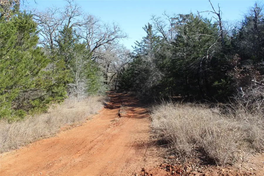 1223 County Road 429, Dime Box, TX 77853 - #3