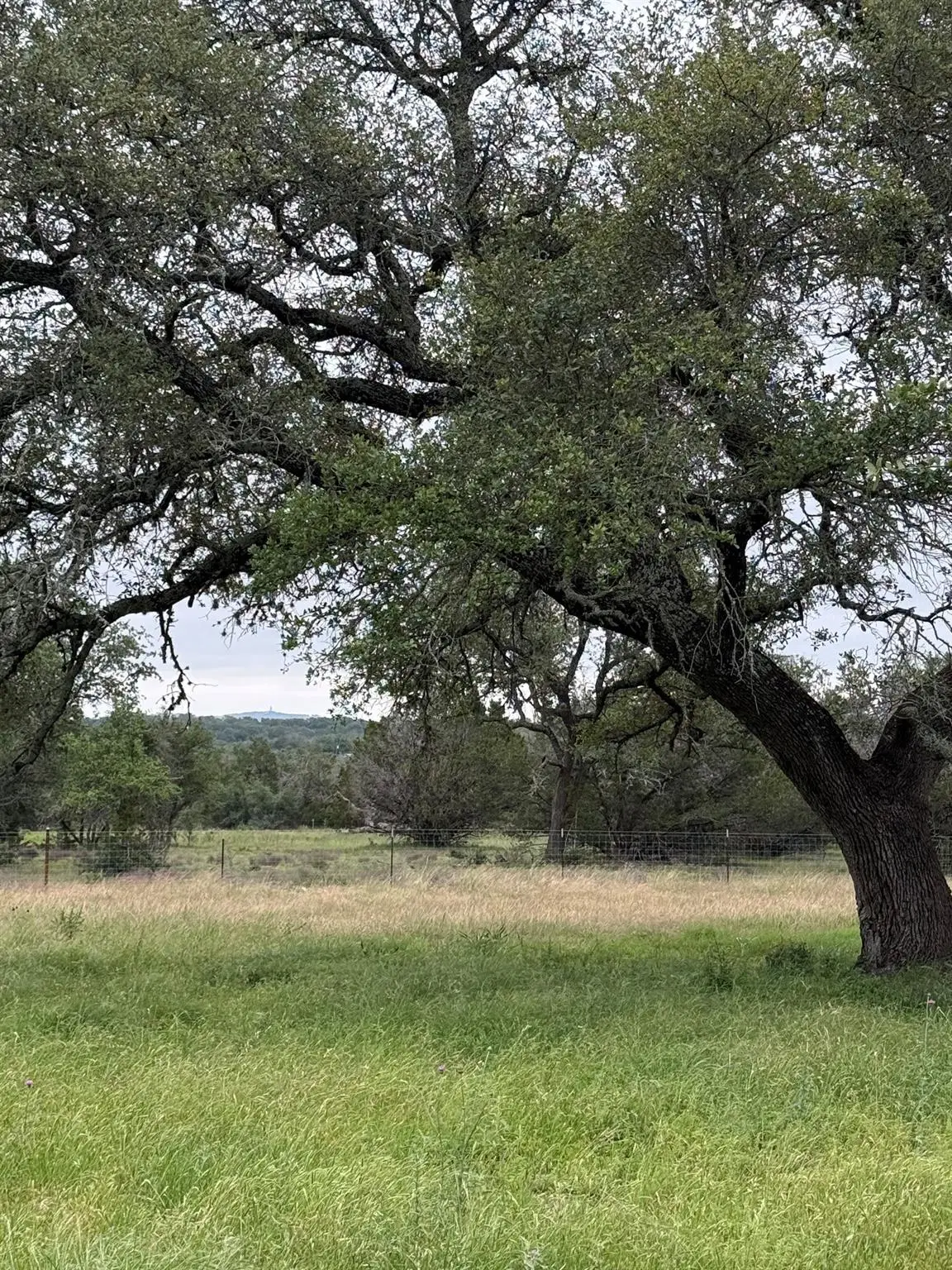 1399 Klett Ranch Rd, Johnson City, TX 78636 - #1