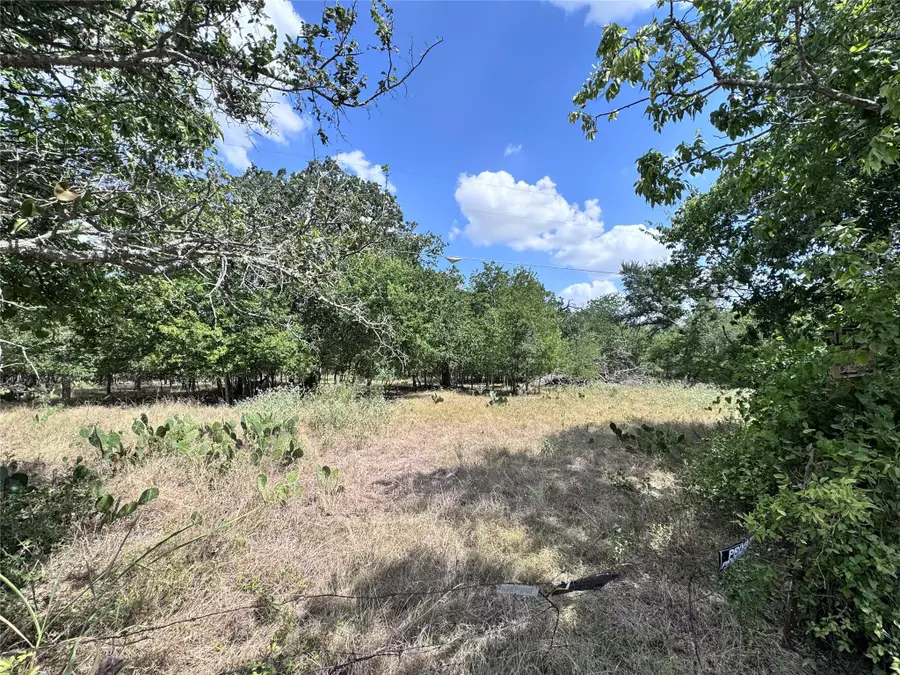 TBD Cr 414, Buckholts, TX 76518 - #2