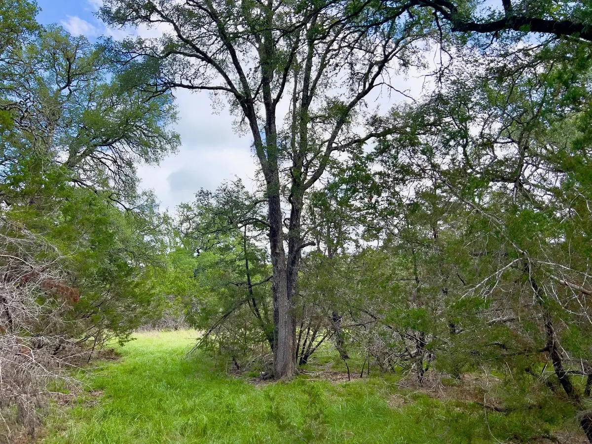 Lot 43-A Narrows Rd #1, Blanco, TX 78606 - #1