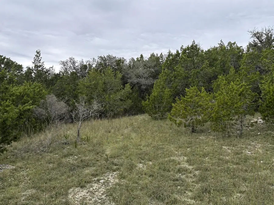 Lot 20E Overland Stage Rd, Dripping Springs, TX 78620 - #3