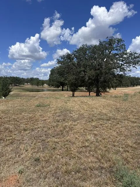 Lot 41 -- 109 Baurenhof Ct, Fredericksburg, TX 78624 - #1