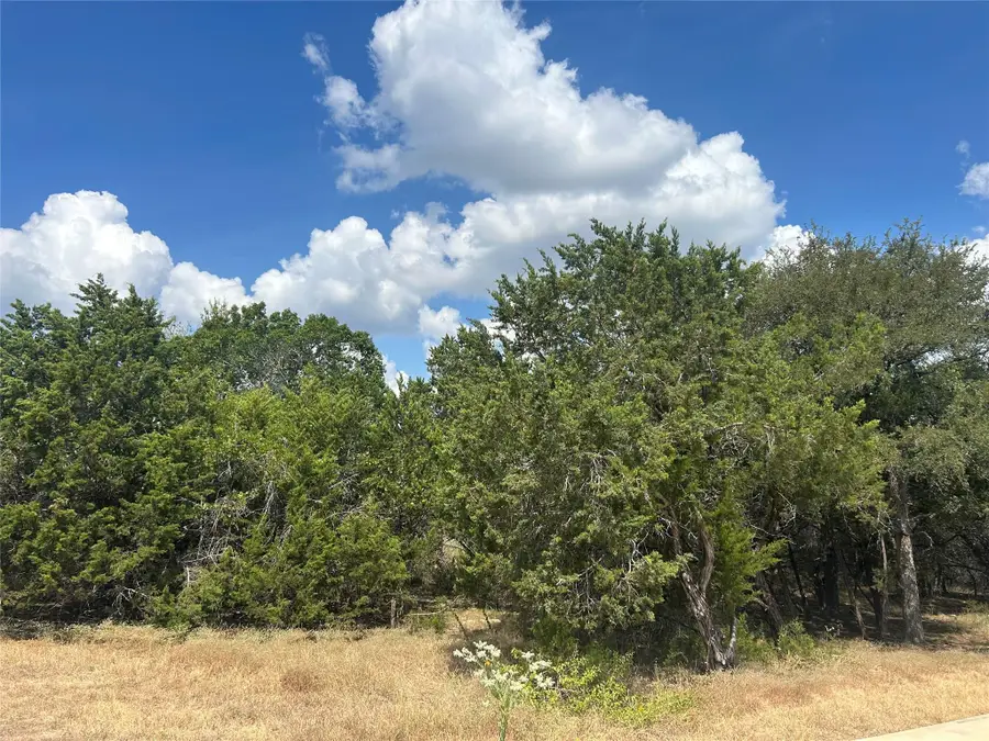 76 Deer Ridge Rd, Wimberley, TX 78676 - #3