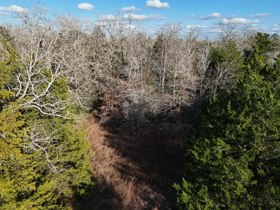 Lot 11 Antioch Rd, Paige, TX 78659 - #2