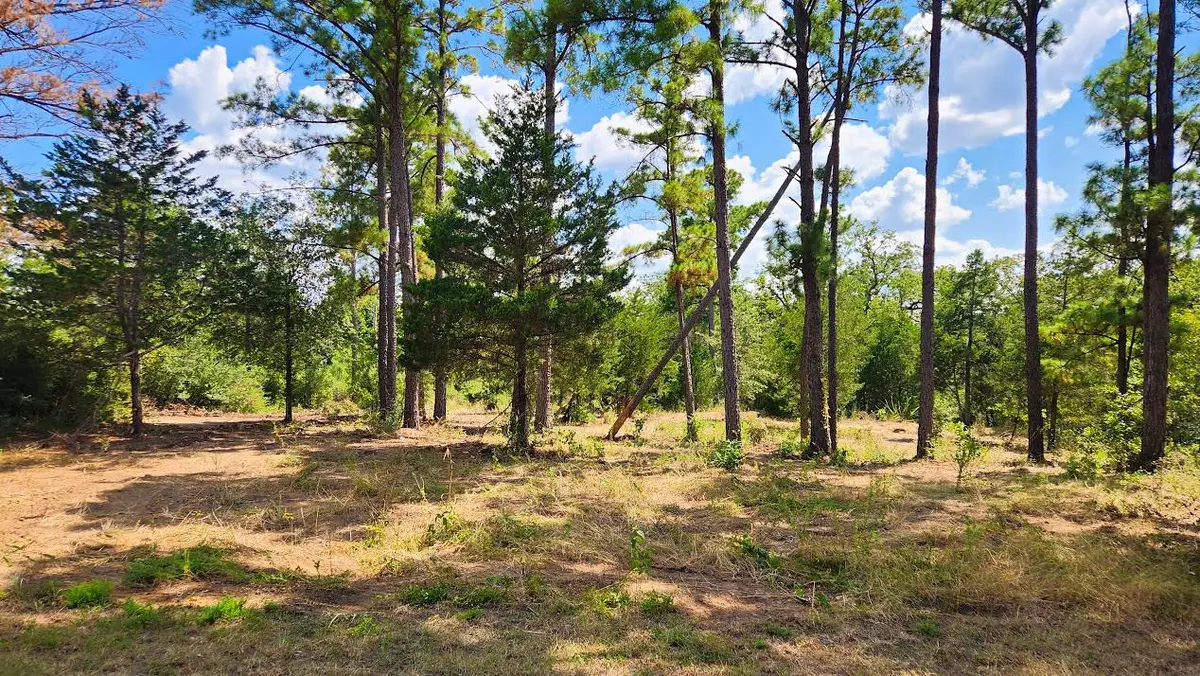 TBD Modock Dr, Bastrop, TX 78602 - #1