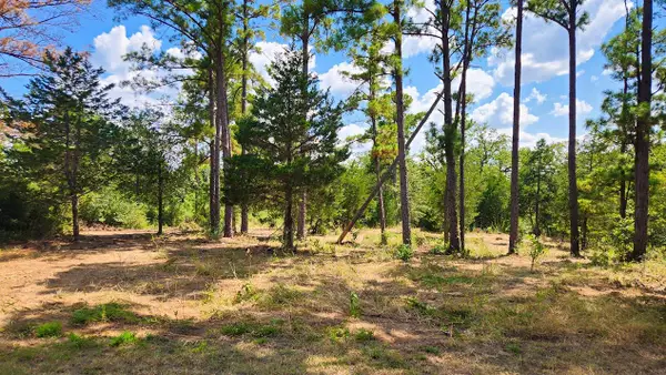TBD Modock Dr, Bastrop, TX 78602