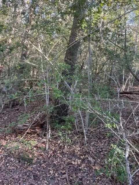 #2