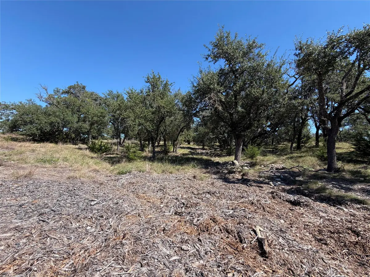 TBD Tract 28 Brooklyn Dr, Harper, TX 78631 - #1