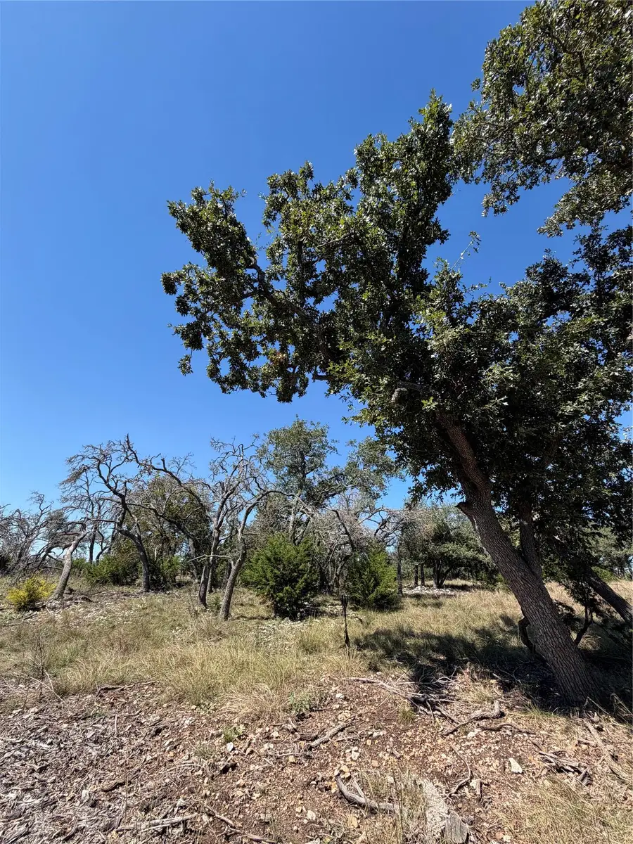 TBD Tract 28 Brooklyn Dr, Harper, TX 78631 - #2