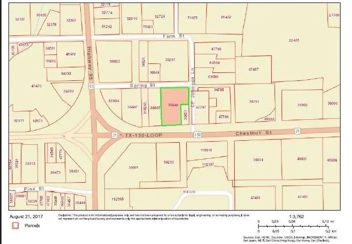 1804 Chestnut St, Bastrop, TX 78602 - #3