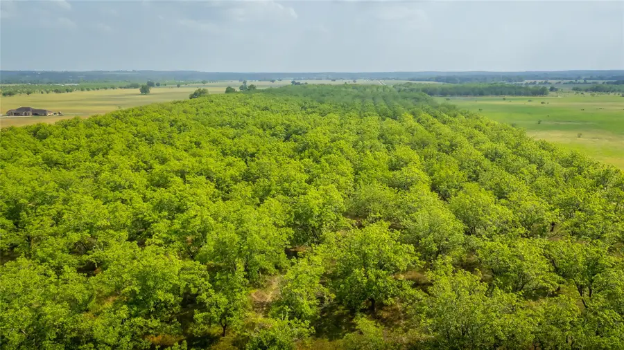 452 Ponderosa Rd, Bastrop, TX 78602 - #3