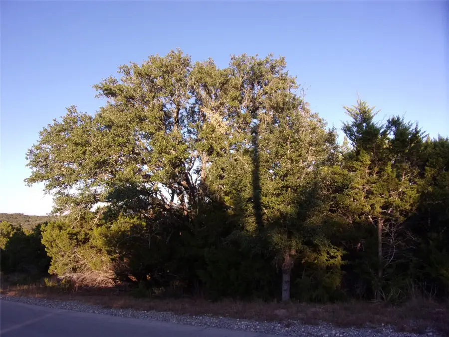 361/395 Mountain Wood Dr, Canyon Lake, TX 78133 - Image #2