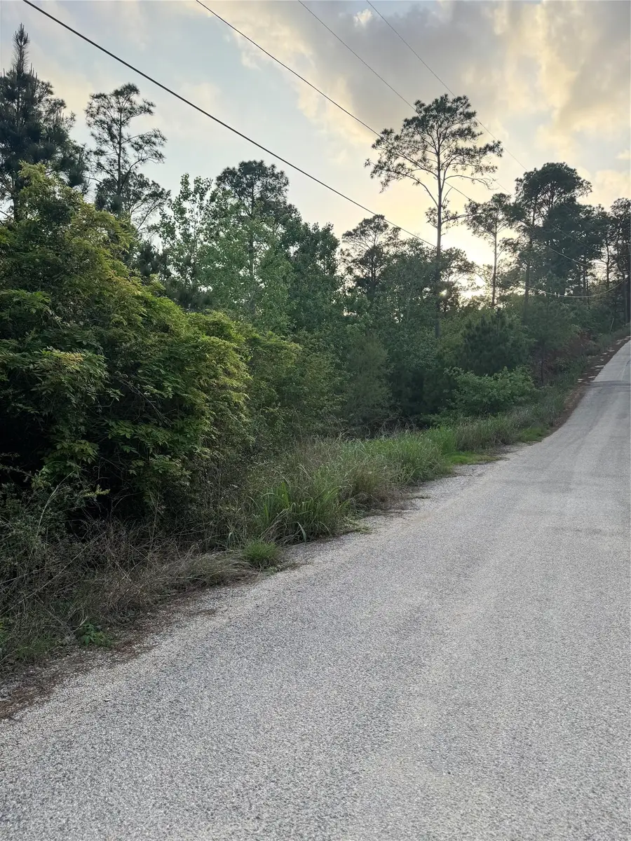 Lot 1386 N Pahihi Dr, Bastrop, TX 78602 - #3